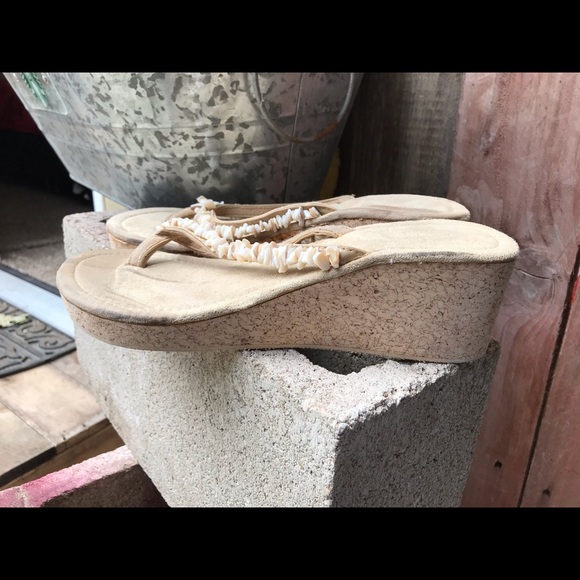 Sea shell - Picture 2 of 3